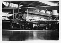 Drawing - Paul Matt - Curtis MF-6K