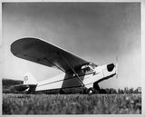 Drawing - Paul Matt - Piper J3 Cub